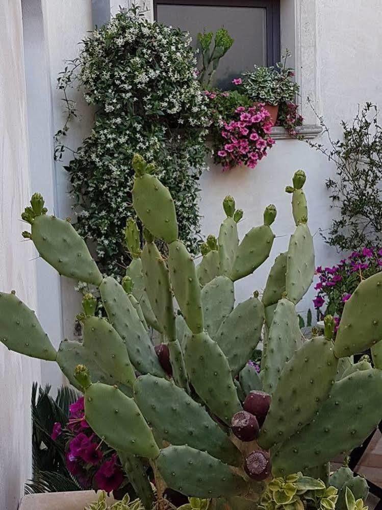 Nardò Palazzo Volta Boutique Luxury B&B מראה חיצוני תמונה